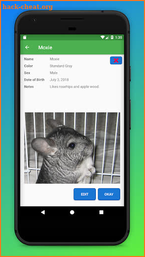 Chinchilla Home screenshot