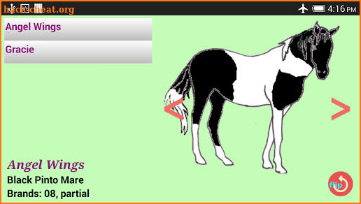 Chincoteague Pony Names screenshot