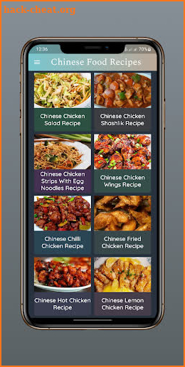 Chinese Food Recipes [PRO] screenshot