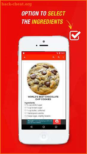 Chocolate Chip Cookie Recipes screenshot