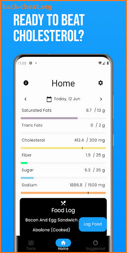 Cholesterol Tracker: diet aid screenshot