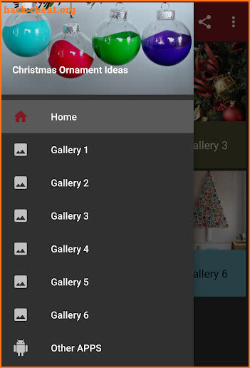 Christmas Ornament Ideas screenshot