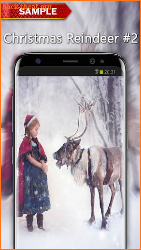 Christmas Reindeer Wallpapers screenshot