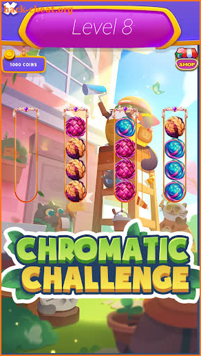 Chromatic Challenge: Braid screenshot