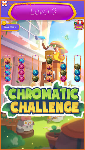 Chromatic Challenge: Braid screenshot