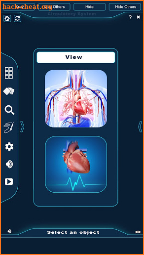 Circulatory System Anatomy screenshot