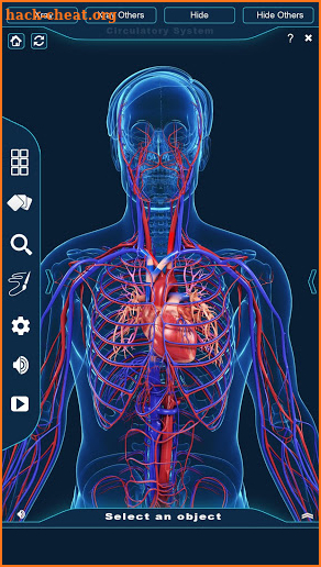 Circulatory System Anatomy screenshot