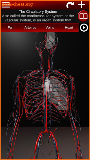 Circulatory System in 3D (Anatomy) screenshot