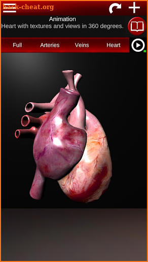 Circulatory System in 3D (Anatomy) screenshot