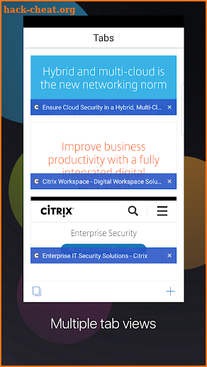 Citrix Secure Web screenshot