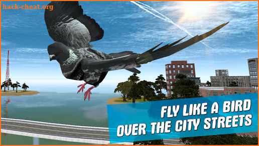City Bird Pigeon Simulator 3D screenshot