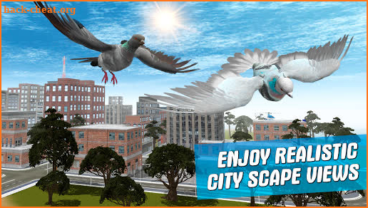 City Bird Pigeon Simulator 3D screenshot