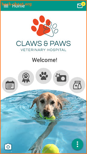 Claws & Paws Vet Hospital screenshot