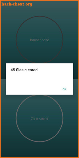Cleaner+ screenshot