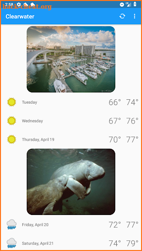 Clearwater, FL -  weather and more screenshot