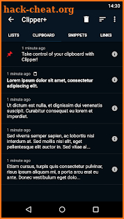 Clipper Plus with Sync screenshot
