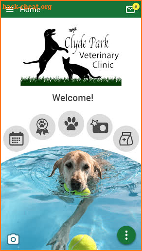 Clyde Park Veterinary Clinic screenshot
