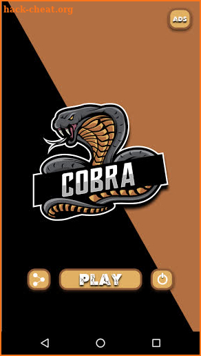 COBRA game screenshot
