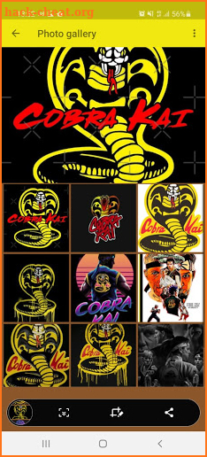 Cobra Kai Wallpaper screenshot