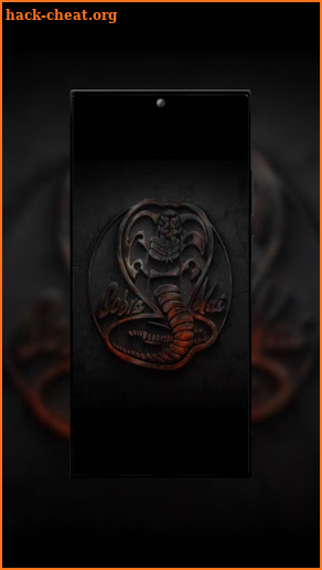 Cobra Kai Wallpapers 2021 screenshot