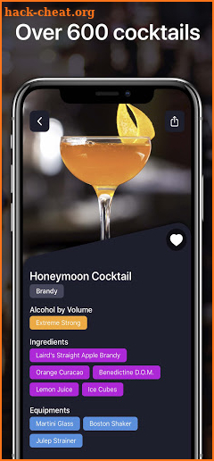 Cocktails for Real Bartender screenshot