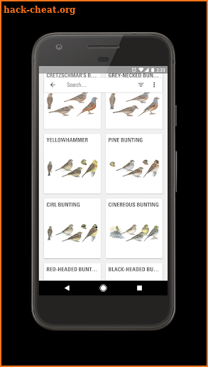 Collins Bird Guide screenshot