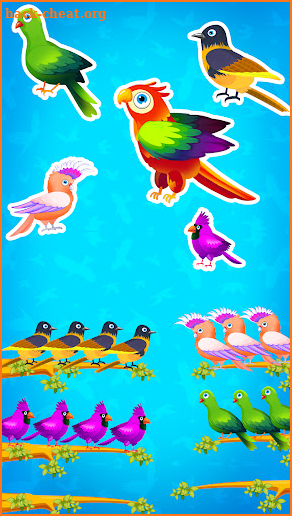 Color Bird Sort Puzzle Games screenshot