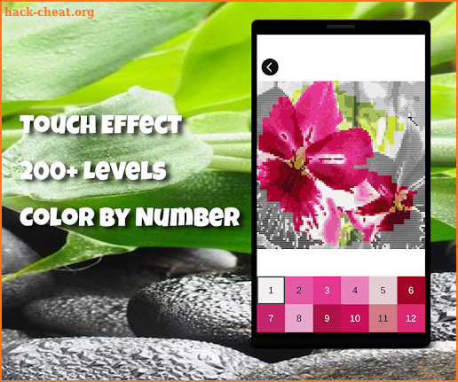 Color by Number: Flowers Pixel Art Game screenshot