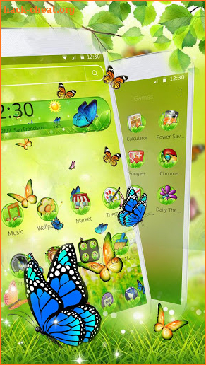 Colorful Butterfly  theme screenshot