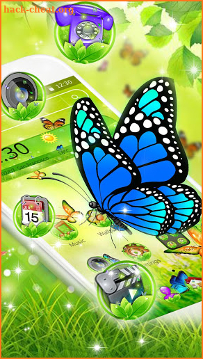 Colorful Butterfly  theme screenshot