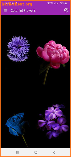 Colorful HD Flowers Wallpapers screenshot