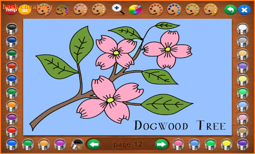 Coloring Book 4: Plants screenshot
