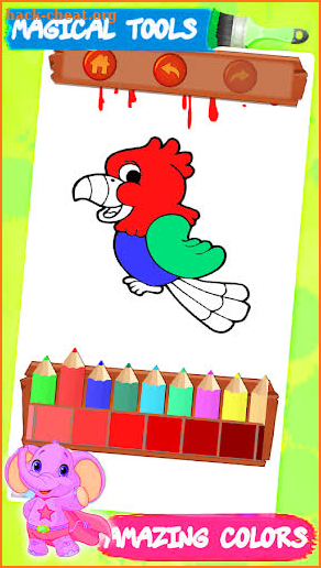 Coloring Book Animal screenshot