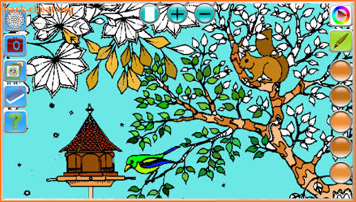 Coloring Books for Adults screenshot