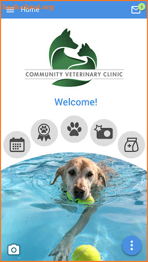 Community Vet Clinic MKE screenshot