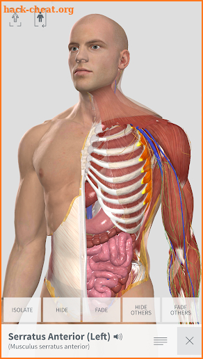 Complete Anatomy for Android screenshot