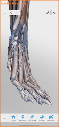 Complete Canine 3D - anatomy screenshot