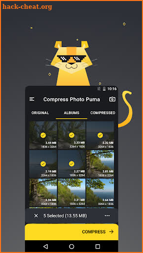 Compress Photo Puma: KB, MB, Resolution, Quality screenshot