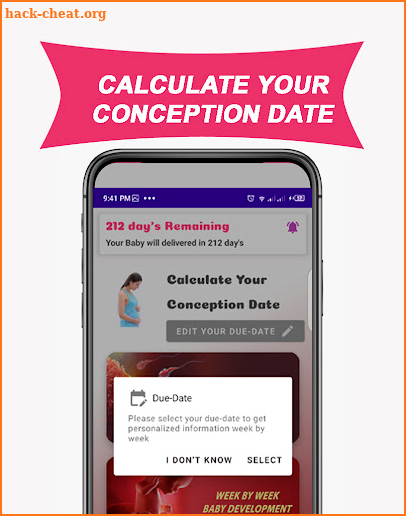 Conception Date Calculator App screenshot