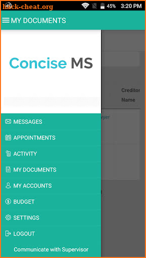 Concise MS screenshot