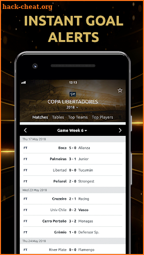 CONMEBOL Libertadores screenshot