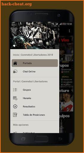 Conmebol Libertadores • EN VIVO screenshot
