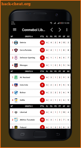 Conmebol Libertadores • EN VIVO screenshot