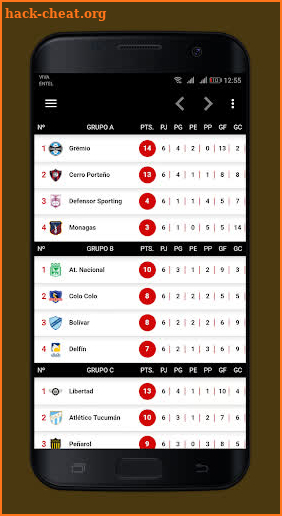 Copa Libertadores EN VIVO screenshot