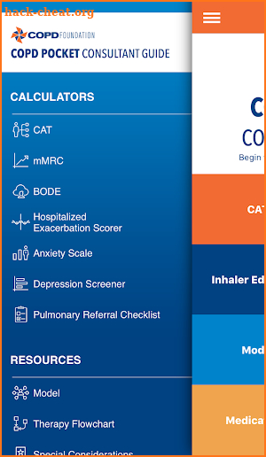 COPD Pocket Consultant Guide screenshot
