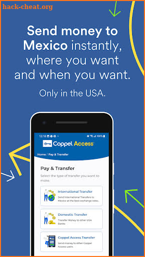 Coppel Access screenshot