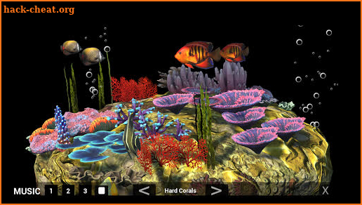Coral Dream screenshot