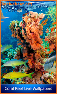 Coral Reef Live Wallpapers screenshot