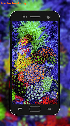 Coral Reef Wallpaper screenshot
