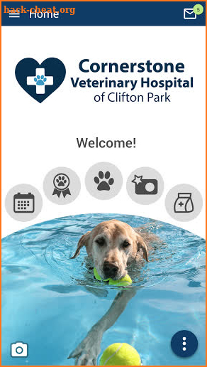 Cornerstone Veterinary Hospital screenshot